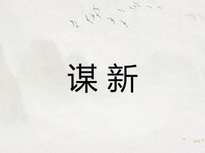 谋新