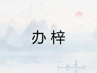 办梓