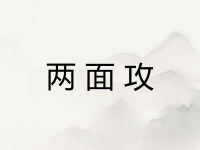 两面攻