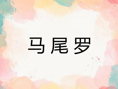 马尾罗