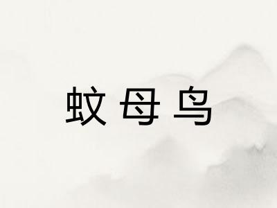 蚊母鸟