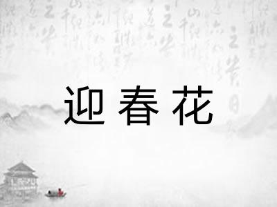 迎春花