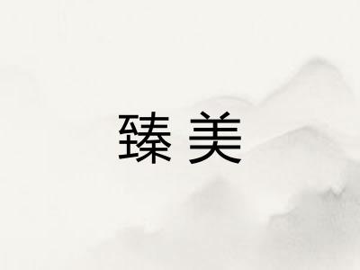 臻美