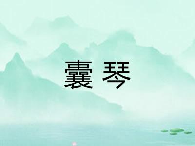囊琴