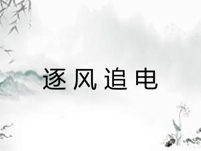 逐风追电