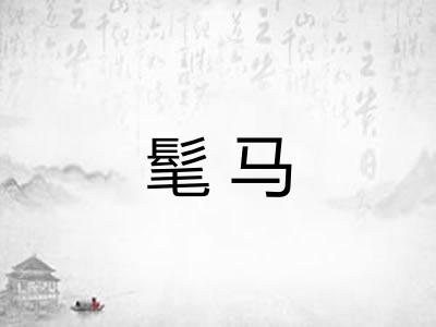 髦马