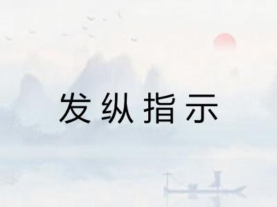发纵指示