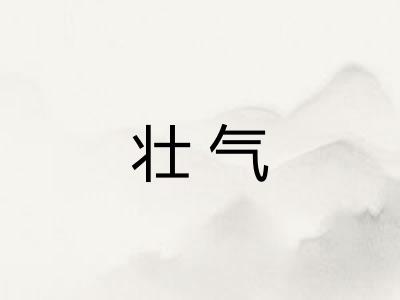 壮气