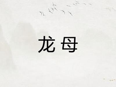 龙母