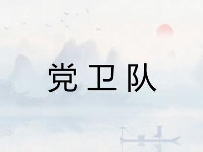 党卫队