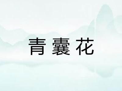 青囊花