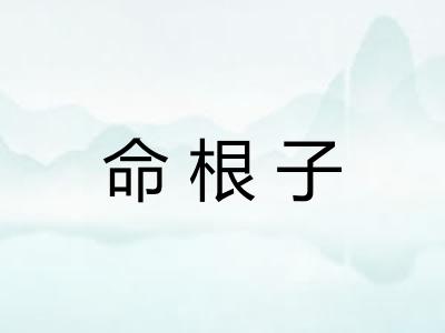 命根子