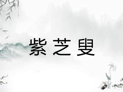 紫芝叟