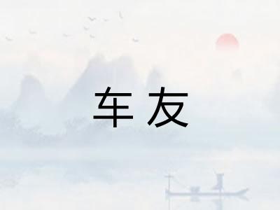 车友