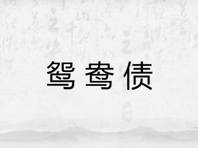 鸳鸯债