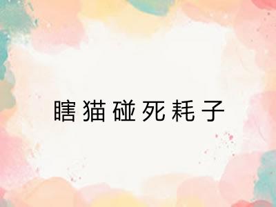 瞎猫碰死耗子