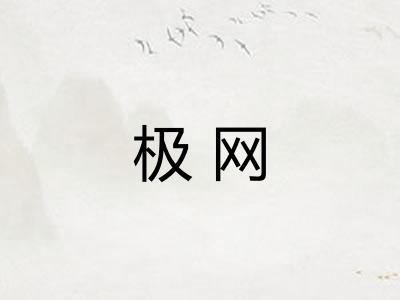 极网