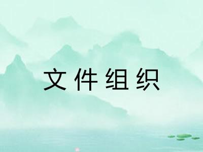 文件组织