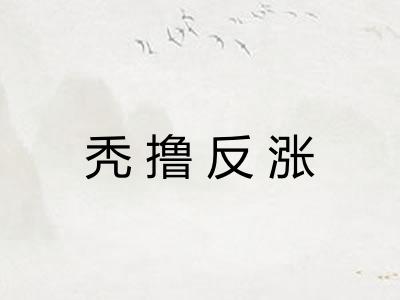 秃撸反涨