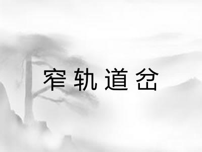 窄轨道岔