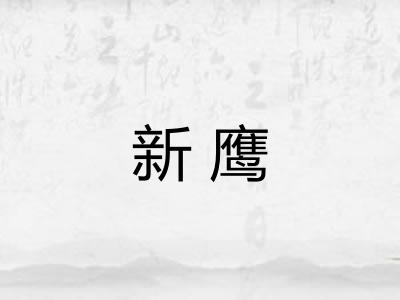 新鹰