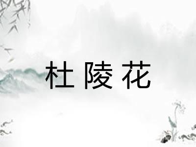 杜陵花