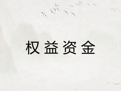 权益资金