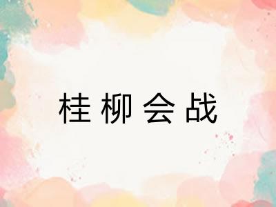 桂柳会战