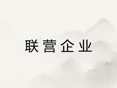 联营企业