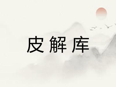 皮解库