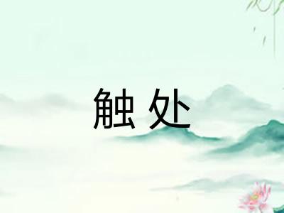 触处
