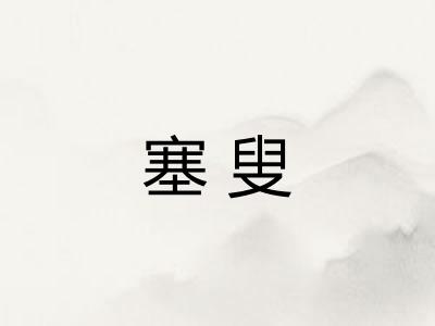 塞叟
