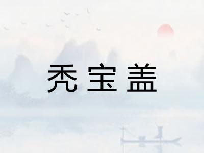 秃宝盖