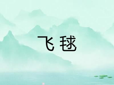 飞毬
