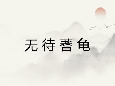 无待蓍龟
