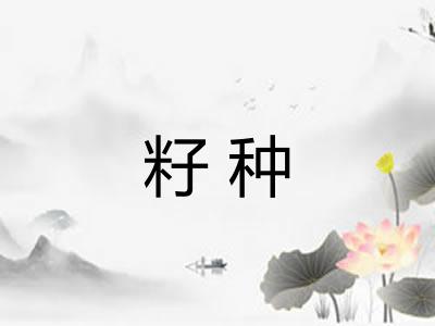 籽种