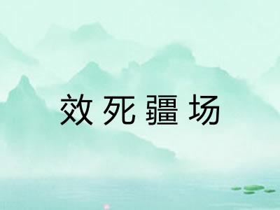 效死疆场