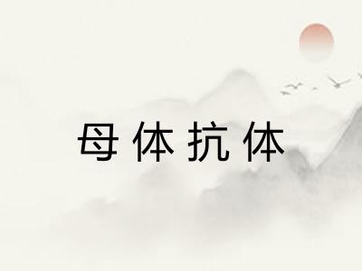 母体抗体