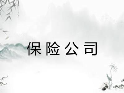 保险公司