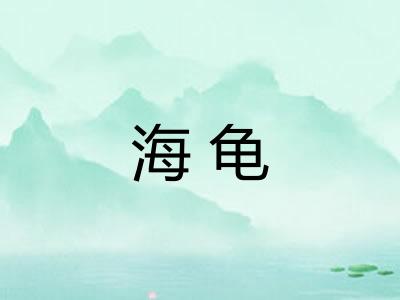 海龟