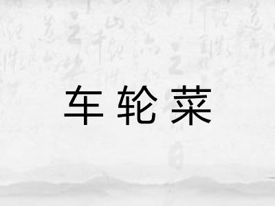 车轮菜
