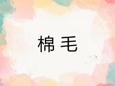 棉毛