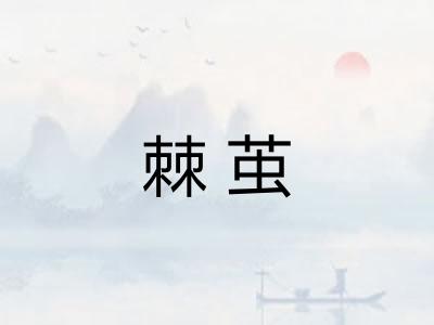 棘茧