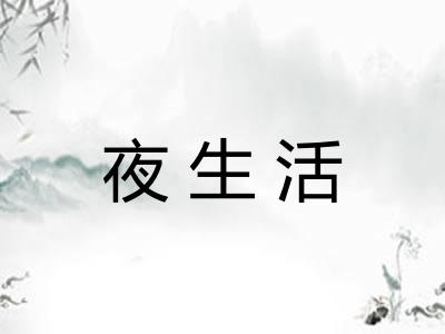 夜生活