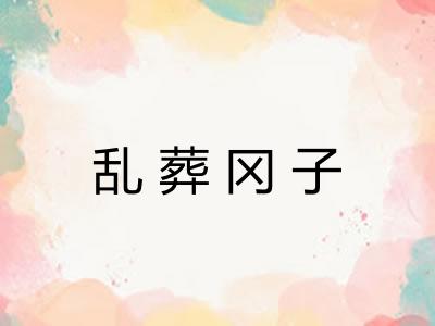 乱葬冈子