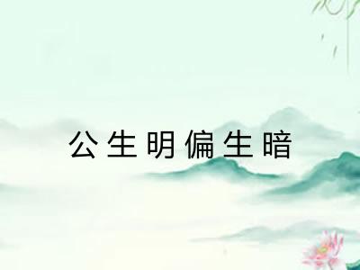公生明偏生暗