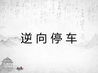 逆向停车