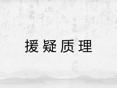 援疑质理