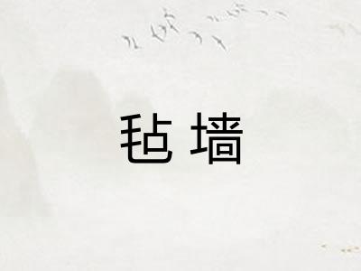 毡墙