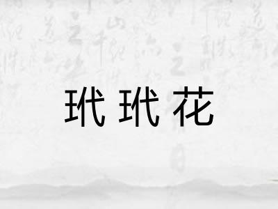 玳玳花